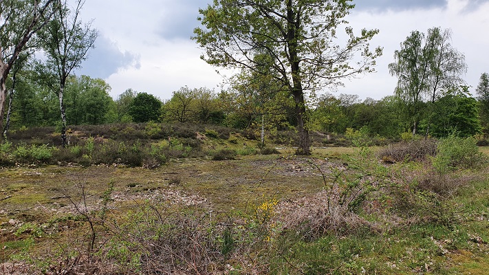 Wandeling over Trage Tocht Gennep in het Heyens Bos