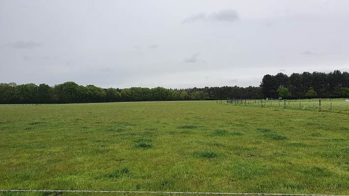 Wandeling over Trage Tocht bij Nationaal Park Loonse en Drunense Duinen