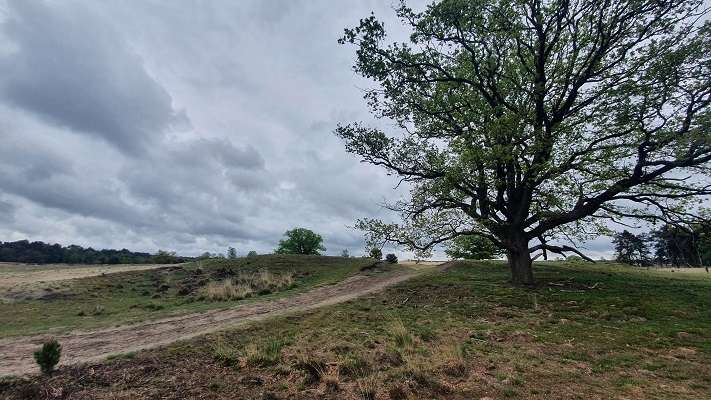 Wandeling over Trage Tocht Loon op Zand bij Nationaal Park Loonse en Drunense Duinen