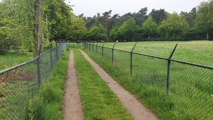 Wandeling over Trage Tocht bij het Land van Kleef