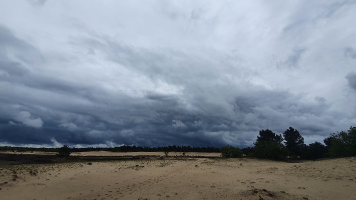 Wandeling over Trage Tocht Loon op Zand bij Nationaal Park Loonse en Drunense Duinen