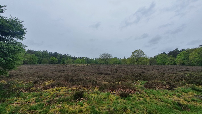 Wandeling over Trage Tocht bij de Kraanvense Heide