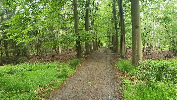Wandeling over Trage Tocht Waalwijk