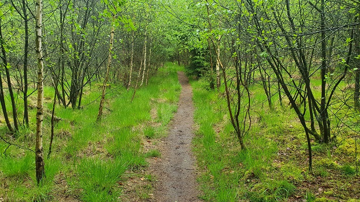 Wandeling over Trage Tocht Waalwijk