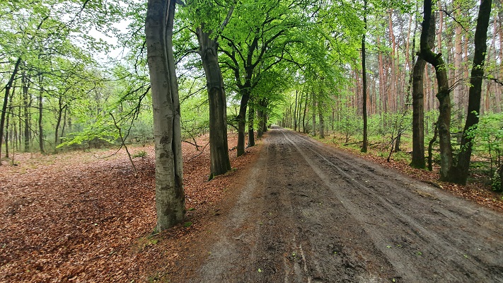 Wandeling over Trage Tocht Waalwijk