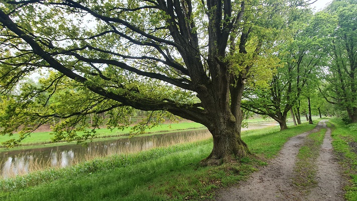 Wandeling over Trage Tocht Waalwijk langs het Drongelens Kanaal
