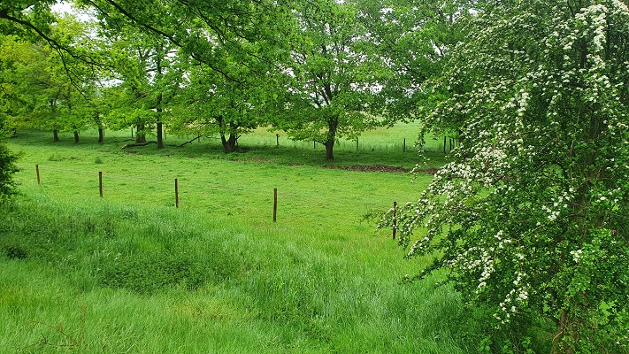 Wandeling over Trage Tocht Waalwijk bij de Baardwijkse Overlaat