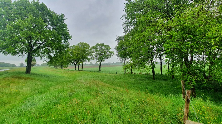 Wandeling over Trage Tocht Waalwijk bij de Baardwijkse Overlaat
