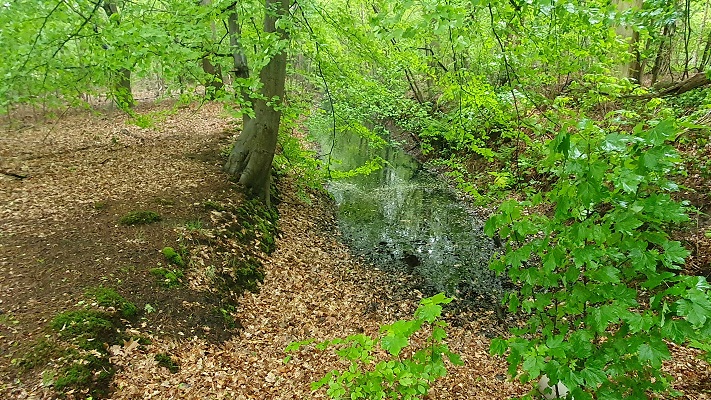 Wandeling over Trage Tocht Waalwijk bij turfkanaal