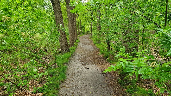 Wandeling over Trage Tocht Waalwijk