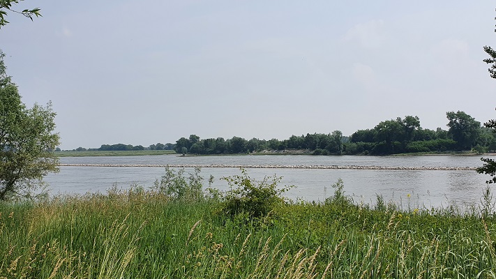 Groene Wissel Ophemert bij de Stiftsche Uiterwaarden