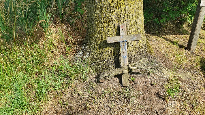 Wandeling over Ons Kloosterpad van Gemert naar Huize Padua