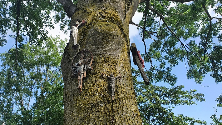 Wandeling over Ons Kloosterpad van Gemert naar Huize Padua