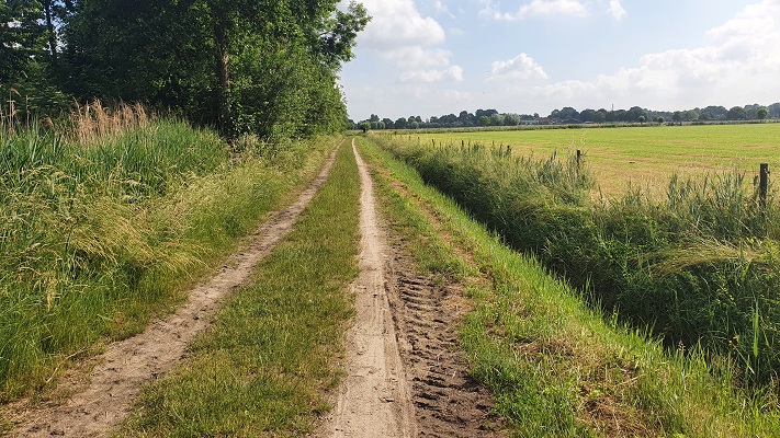 Wandeling over Ons Kloosterpad van Gemert naar Huize Padua