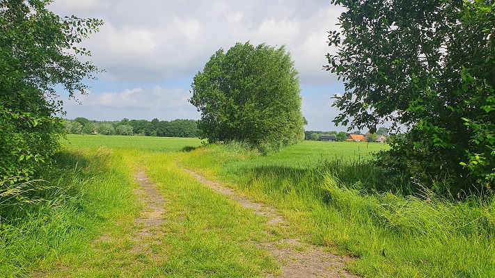 Wandeling over Ons Kloosterpad van Gemert naar Huize Padua