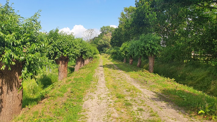 Wandeling over Ons Kloosterpad van Gemert naar Huize Padua