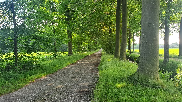 Wandeling over Ons Kloosterpad van Gemert naar Huize Padua