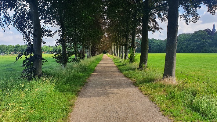 Wandeling over Ons Kloosterpad van Gemert naar Huize Padua