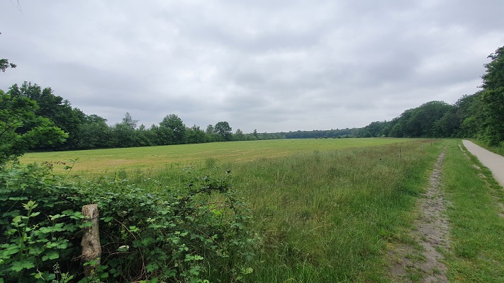 Wandeling over Ons Kloosterpad van Landhorst naar Boxmeer in de Staatsbossen