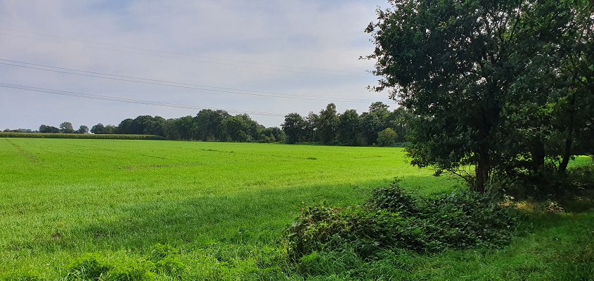 groot-frieslandpad-bellingwolde-papenburg-10 Wandeling over het Groot Frieslandpad van Bellingwolde naar Papenburg