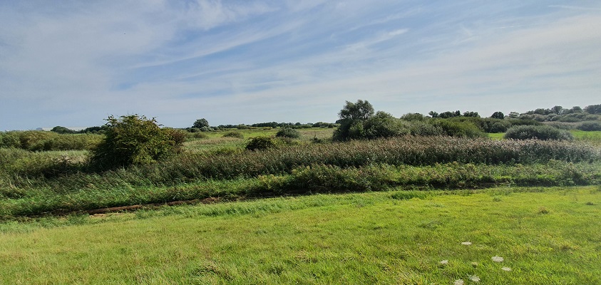 groot-frieslandpad-bellingwolde-papenburg-12 Wandeling over het Groot Frieslandpad van Bellingwolde naar Papenburg bij de uiterwaarden van de Eems