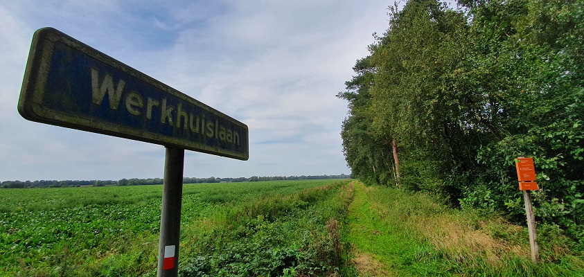 Wandeling over het Groot Frieslandpad van Bellingwolde naar Papenburg bij de Werkhuislaan