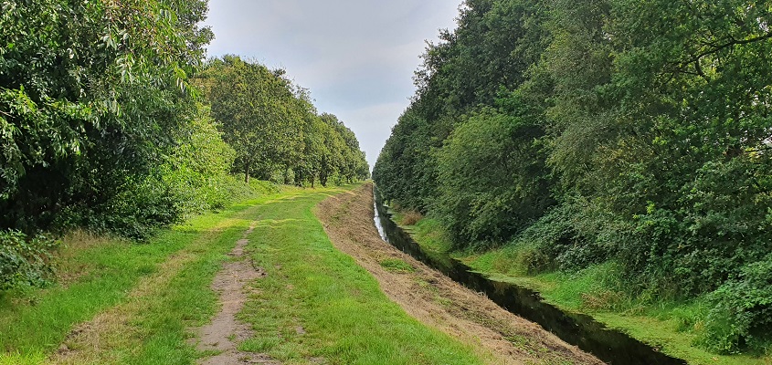 Wandeling over het Groot Frieslandpad van Bellingwolde naar Papenburg bij de Brualer Schloot