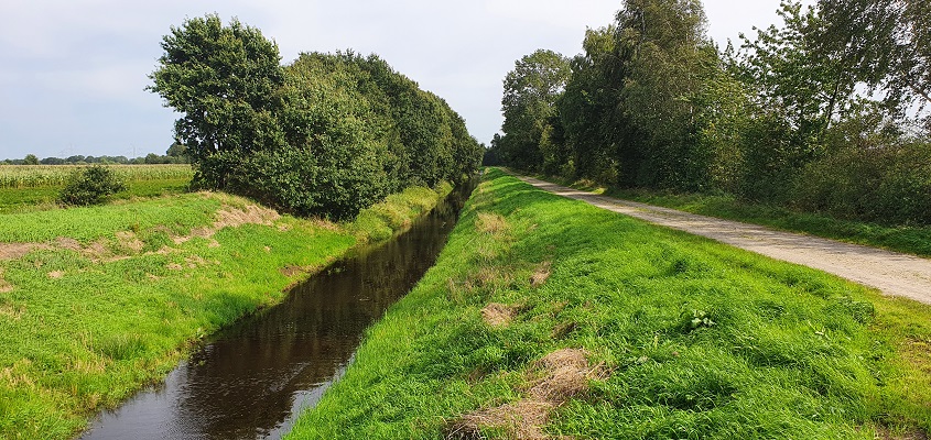 Wandeling over het Groot Frieslandpad van Bellingwolde naar Papenburg bij de Brualer Schloot