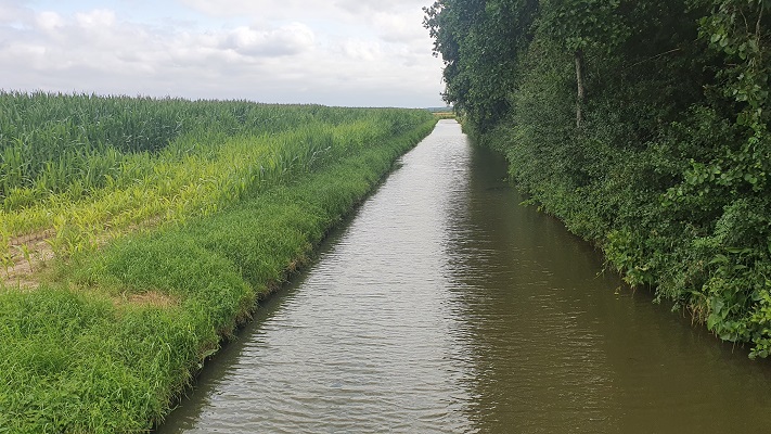 Wandeling over Klompenpad Moas- en Wetteringpad bij de Alphense Wetering