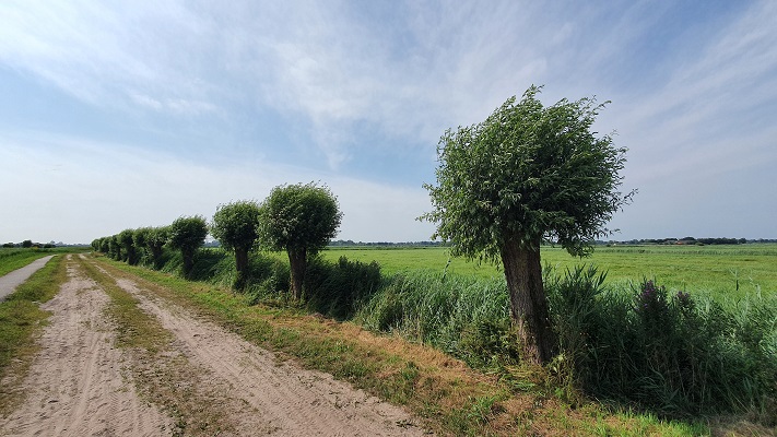 Wandeling van Aldtsjerk naar Burgum op Noardlike Fryske Walde in Bouwepet