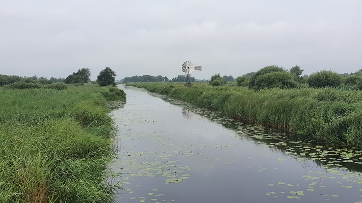 Wandeling in Noardlike Fryske Walde van Earnewald naar Burgum in It Wikelslan