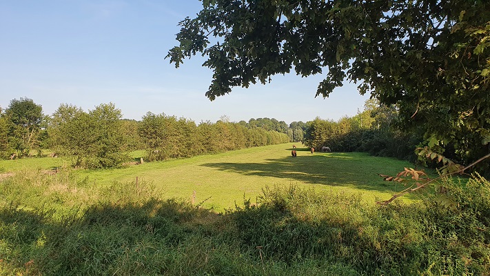 Wandeling over het Biesboschpad van Raamsdonk naar Waspik bij het slagenlandschap bij 's Gravenmoer