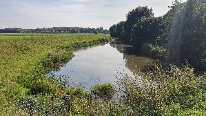Wandeling over het Biesboschpad van Raamsdonk naar Waspik bij de Donge