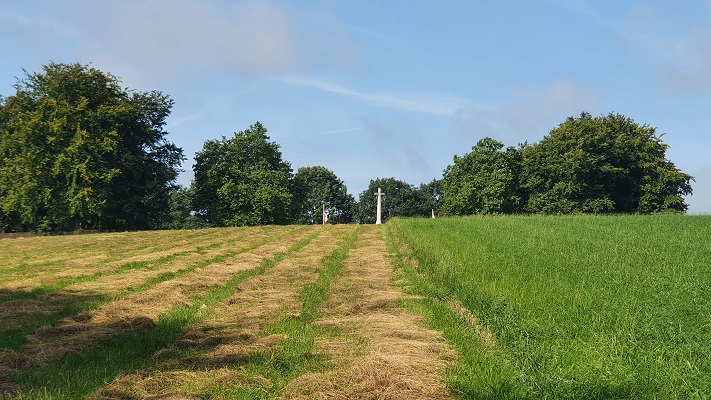 Landschap Ooijpolder-Groesbeek
