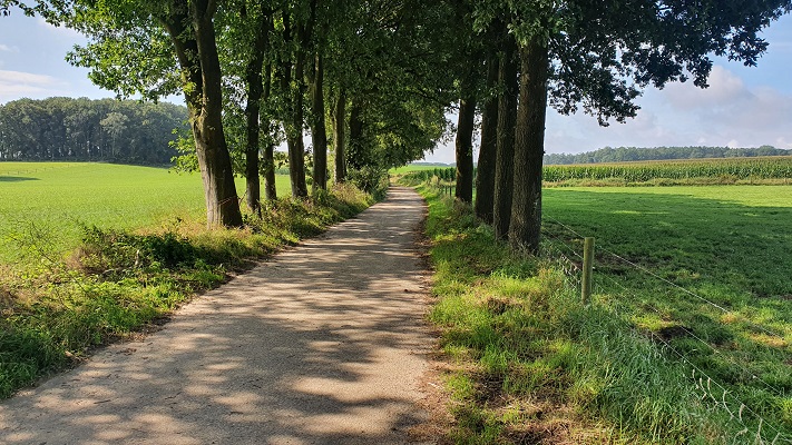 Landschap Ooijpolder-Groesbeek