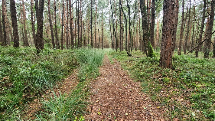 Wandeling over Trage Tocht Laag Soeren