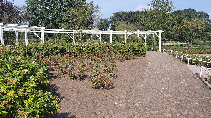 Wandelen in Den Haag in het Zuiderpark