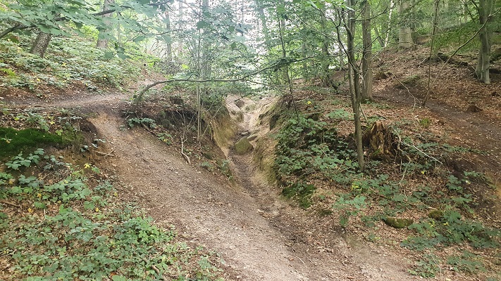 trage-tocht-milsbeek-1 Trage Tocht Milsbeek in het Reichswald