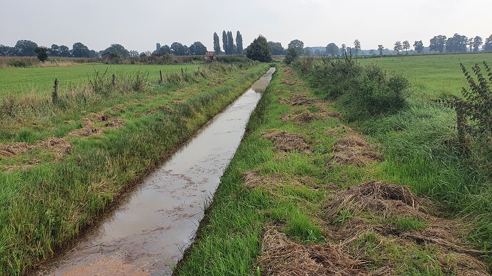 Trage Tocht Milsbeek bij de Kroonbeek