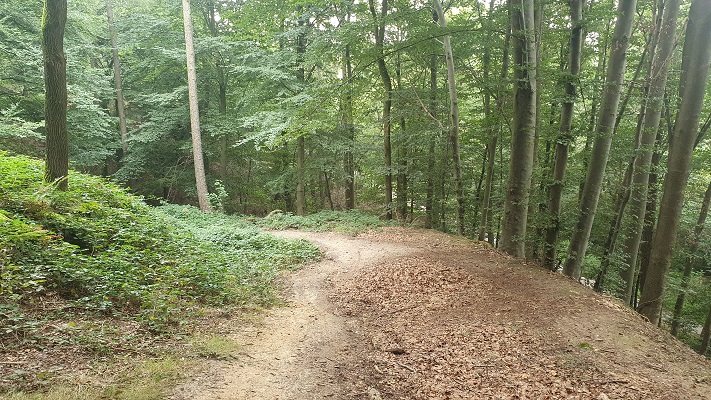 trage-tocht-milsbeek-2 Trage Tocht Milsbeek in het Reichswald