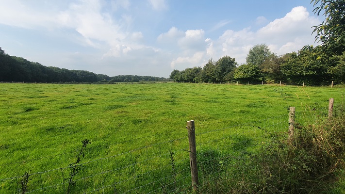 trage-tocht-milsbeek-21 Trage Tocht Milsbeek bij landgoed Bloemendaal