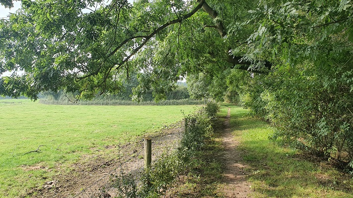Trage Tocht Milsbeek bij landgoed Bloemendaal