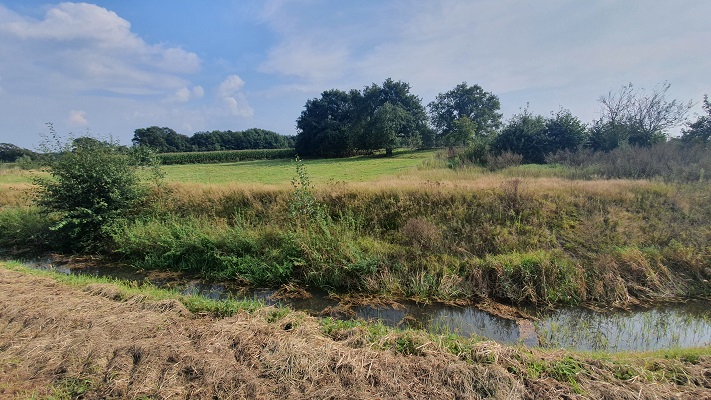 trage-tocht-milsbeek-27 Trage Tocht Milsbeek bij de Tielebeek