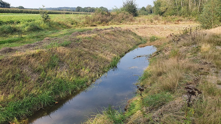Trage Tocht Milsbeek bij de Tielebeek