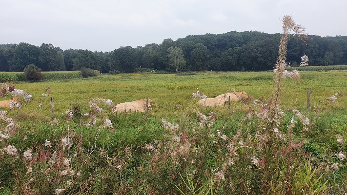 trage-tocht-milsbeek-7 Trage Tocht Milsbeek