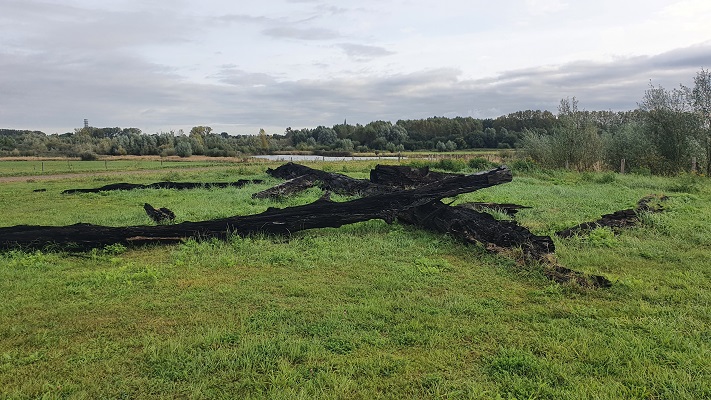 Wandeling over Trage Tocht Thorn bij het Bomenmonument