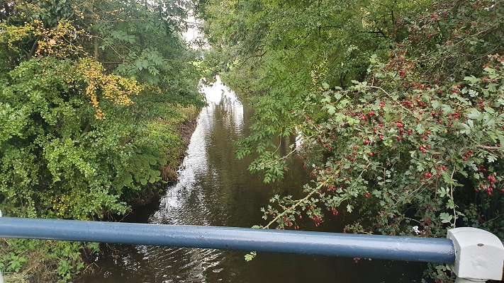 trage-tocht-thorn-32 Wandeling over Trage Tocht Thorn bij de Itterbeek