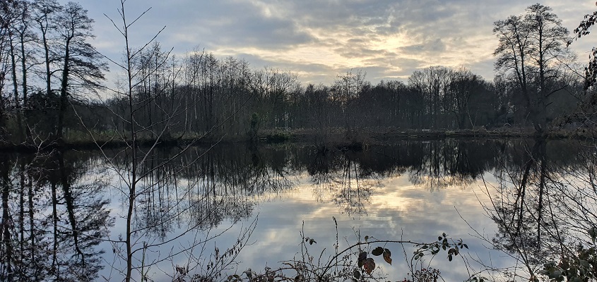 Wandeling over Trage Tocht Plasmolen bij de watermolen