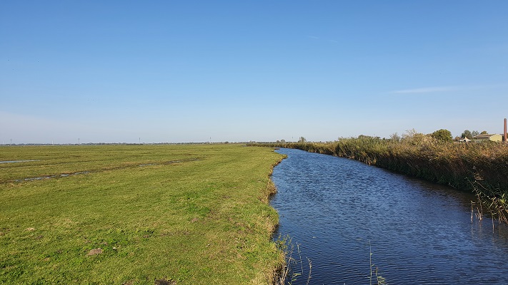 Wandeling over het Biesboschpad van Strijensas naar Maasdam