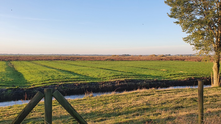 Wandeling over het Biesboschpad van Strijensas naar Maasdam bij de Anthonypolder